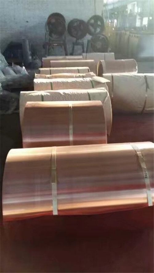 银杏视频免费播放在线观看