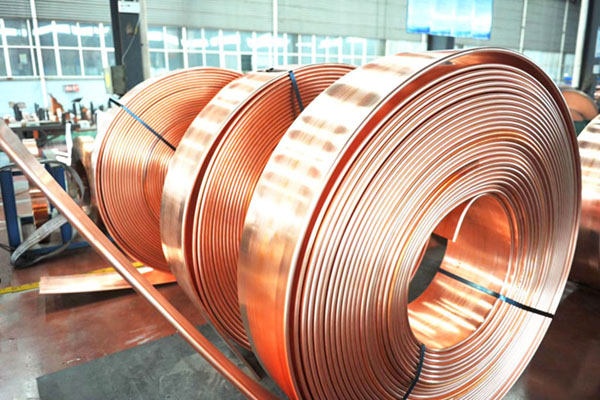 银杏视频看片的